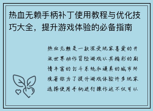 热血无赖手柄补丁使用教程与优化技巧大全，提升游戏体验的必备指南